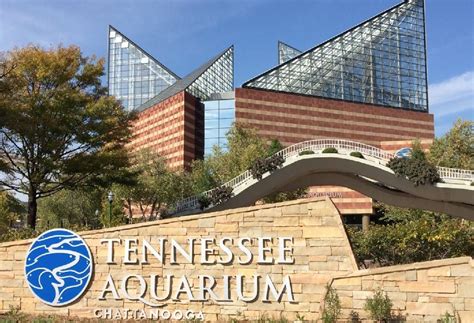 Attraction Tennessee Aquarium Chattanooga 100 Tennessee Aquarium