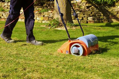 After aerating or dethatching your st. Easy Steps for Getting Rid of Thatch • GreenView Fertilizer