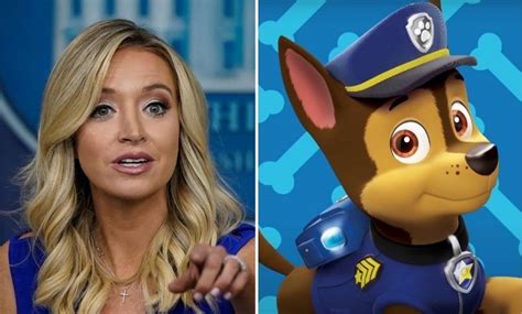 Paw Patrol Corrects Kayleigh Mcenany After She Said Show Was Canceled