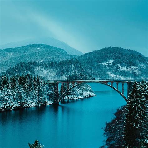 Beautiful Bridge Between Lake In Forest 4k Ipad Wallpapers Free Download