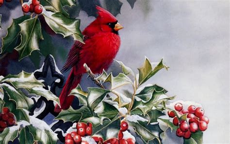 Winter Birds And Berries Wallpapers Wallpaper Cave