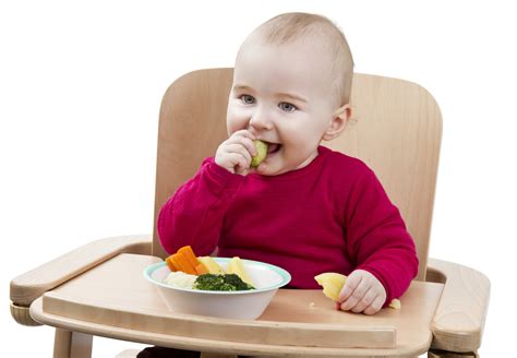 Baby Led Weaning Sabes Lo Que Es