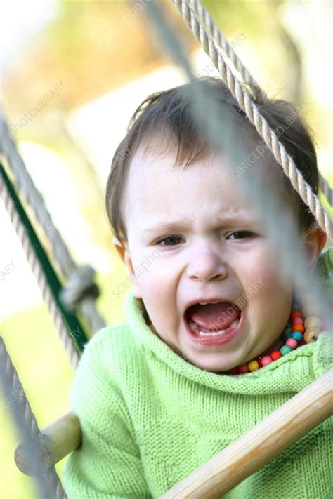 Screaming Child Stock Image M8301399 Science Photo Library