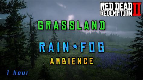 Rdr2 Little Creek River Rain And Fog Ambience 1h Youtube