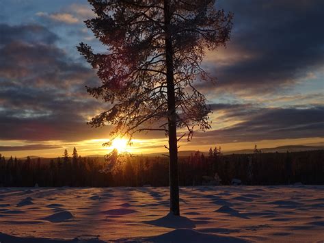 Sunset In Lapland