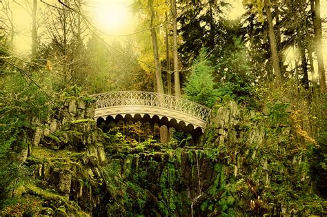 Royalty Free Photo Gray Wooden Bridge In Forest Pickpik