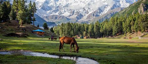 Places To Visit In Pakistan In 2019 Chitral Hunza And More Zameen Blog