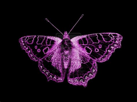 Butterfly Neon Purple By Aj101202 On Deviantart Neon Purple Purple