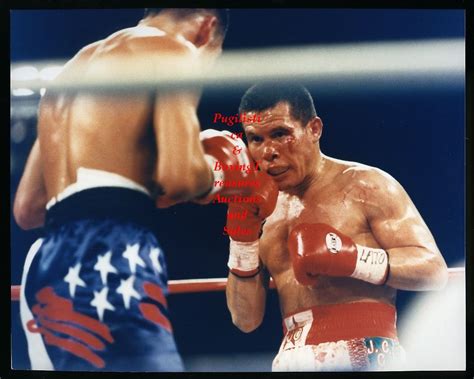 Julio césar chávez carrasco (born 16 february 1986), best known as julio césar chávez jr., is a mexican professional boxer who held the wbc middleweight title from 2011 to 2012. Boxing Photo #60 - Oscar De La Hoya vs. Julio Cesar Chavez