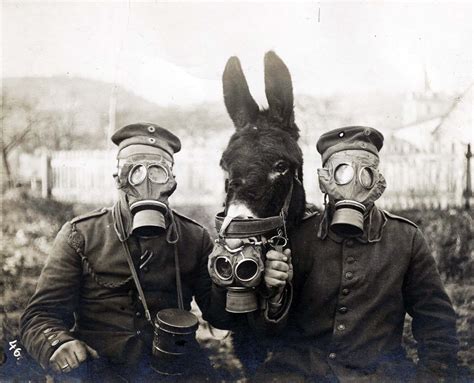 Kompatibel Mit Mentor Kalt Werden World War I Gas Mask Ideal