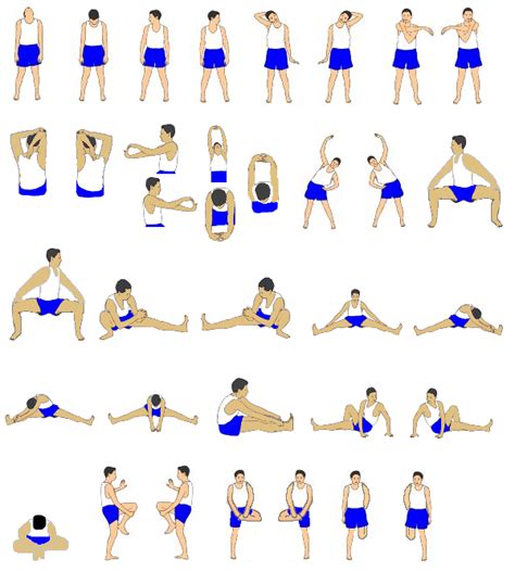 Contoh latihan kelentukan meliputi latihan peregangan untuk memperpanjang otot dan mungkin termasuk kegiatan seperti yoga atau tai chi. Latihan Kebugaran Jasmani: Konsep Latihan dan Pengukuran ...