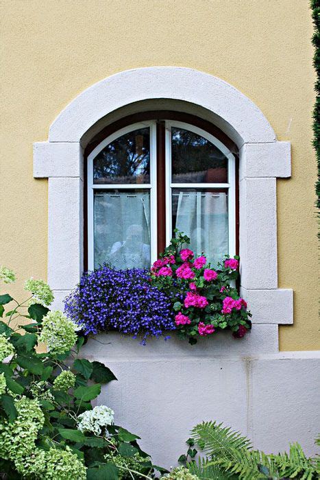 37 Gorgeous Window Flower Boxes With Pictures Window Box Flowers