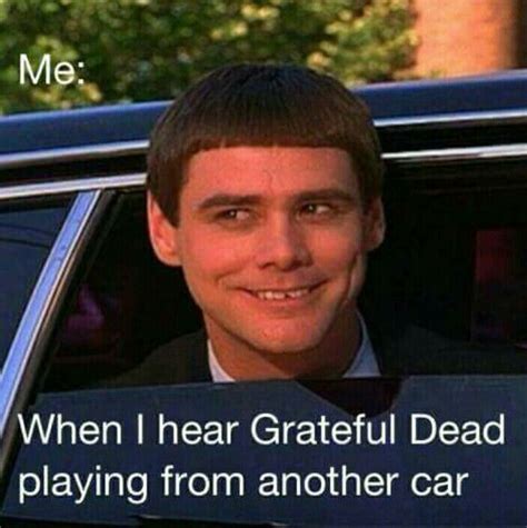 49 Best Grateful Memes Images On Pinterest Gd Grateful Dead And