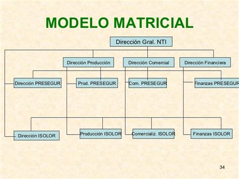 Modelo Matricial