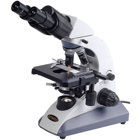 Collection Of Microscope Png Pluspng