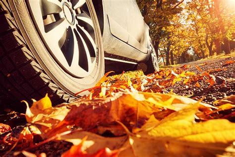 Caring For Your Car In Autumn Fitzpatricks Garages