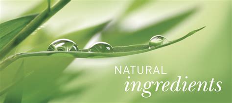 aa skincare quality natural skincare products home