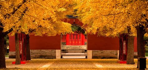 Feast Your Eyes On Fall Foliage At These Scenic Beijing Parks The