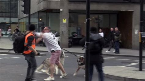 Millwall Fan Hailed As Lion Of London Bridge After Terror Attack Is Filmed Spitting In Mans