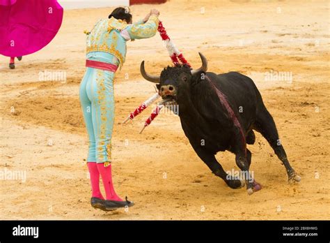 Bull Goring Bullfighter Hi Res Stock Photography And Images Alamy