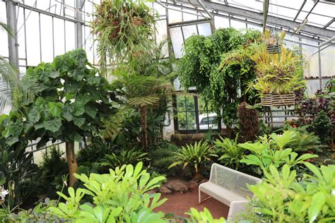 Botanischer Garten: NRW-Stiftung fördert Sanierung des ...