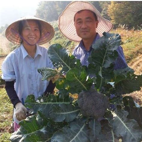 Korean Natural Farming System