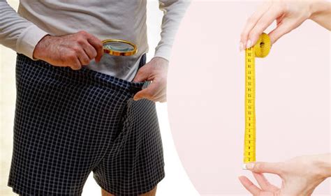 How Much Does Size Matter Women Reveal Preferred Penis Size Express