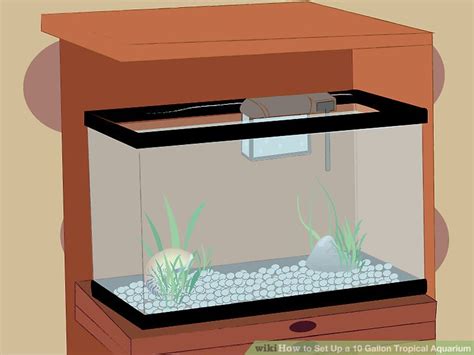 How To Set Up A 10 Gallon Tropical Aquarium 9 Steps