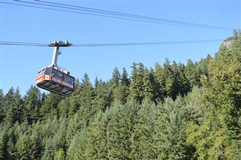 5 Things To Do At Grouse Mountain In Vancouver Ambition Earth
