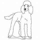 Draw Poodle Standard Poodles Drawing Dog Drawings Coloring Dogs Silhouette Sheets Simple Line Lessons Fun French Puppy Etc Eyes Adults sketch template