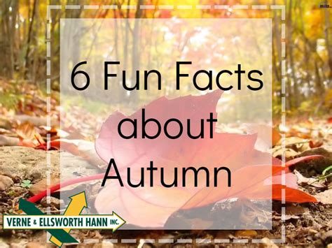 6 Fun Facts About Autumn Veh Brothers