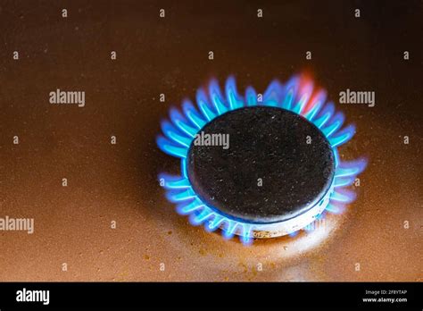 Gas Stove Burner With Blue Natural Gas Flames Stock Photo Alamy