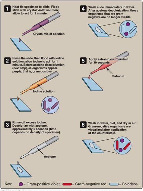 An Info Sheet With Instructions On How To Use Different Types Of Pens