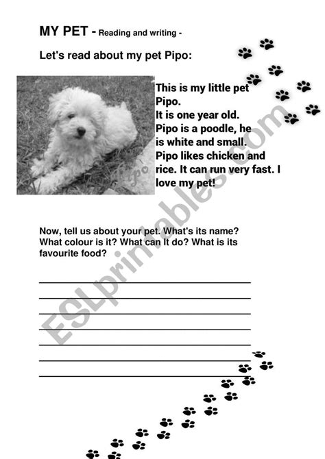 My Pet Esl Worksheet By Missmarug