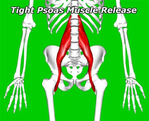 Tight Psoas Muscle Release Using Powerful 3 Step Method