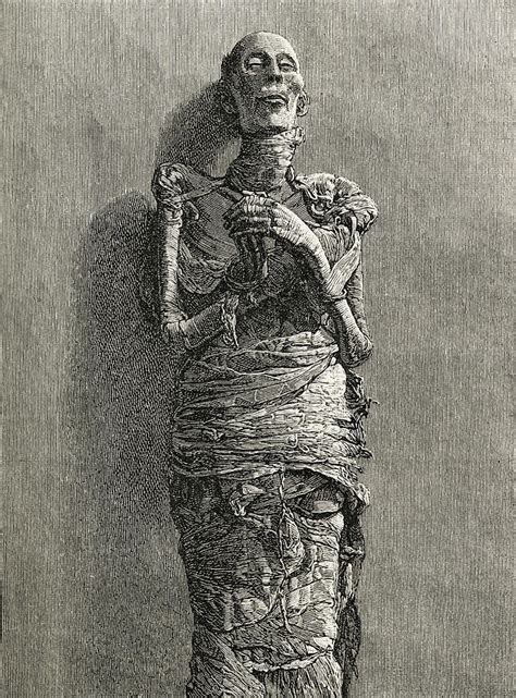 The Mummy Of Ramesses Ii Reigned 1279 Drawing By Vintage Design Pics