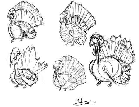 Miguel Jimenez Turkey Sketches