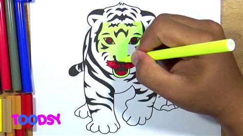 How To Draw A Cute Tiger Cub Learn To Walk Properly Coloring Page Youtube