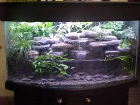 ve always wanted a set up like this for my Axolotl's 55 gallon