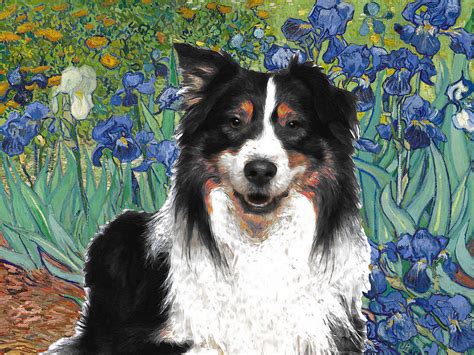 Australian Shepherd Tricolor Aussie Dog Art Van Gogh Irises Painting By