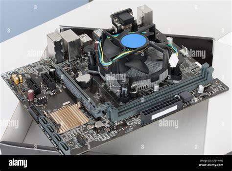Cpu Cooler Fan Is Installing On New Modern Motherboard Stock Photo Alamy
