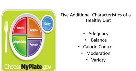 Understanding The Impact Of Nutrition Characteristics Of A Healthy