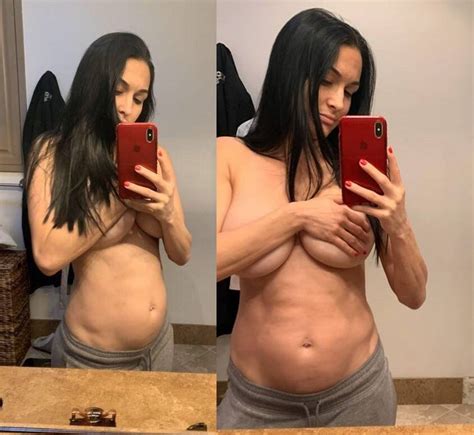 Nikki Bella Nude Selfie During Pregnancy 4 Hot Selfies The Fappening