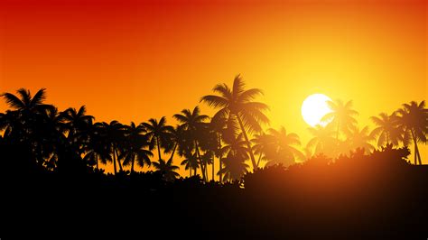 Tropical Sunset Nature Background With Silhouette Of Palm Trees And