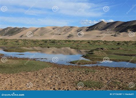 Oasis In The Desert Gobi Stock Image Image Of Dune Mongolia 37156387