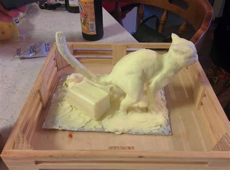 Have You Made A Decision On The Butter Sculpture I Would Like A Cat