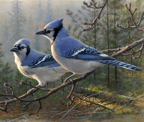 Wildlife Art By Minnesotas Hautman Brothers Shown In Wayzata Blue