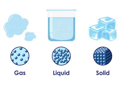 What Are The Differences Between Solids Liquids And Gases Little To
