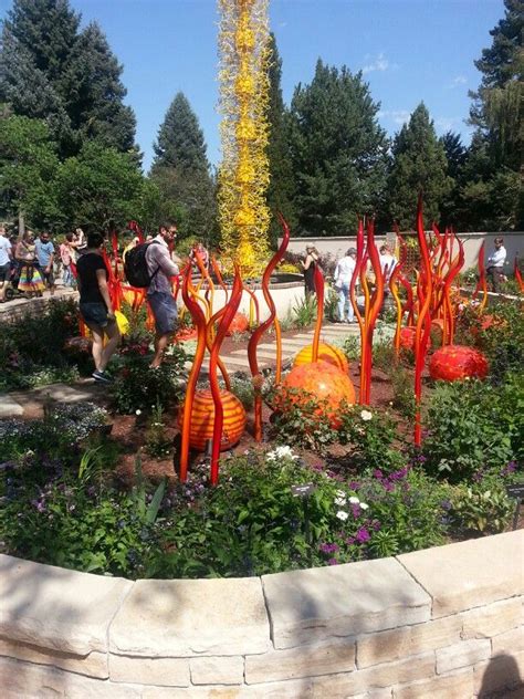 A website dedicated to scientific protocols at denver botanic gardens research. Chihuly at Denver Botanic Gardens 2014 | Denver botanic ...