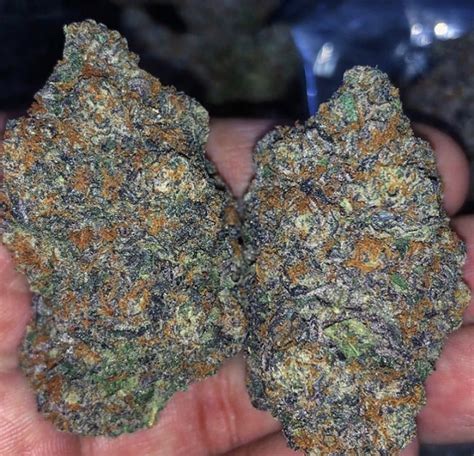 Order online Blue Sherbet | Blue Sherbert Marijuana Strain